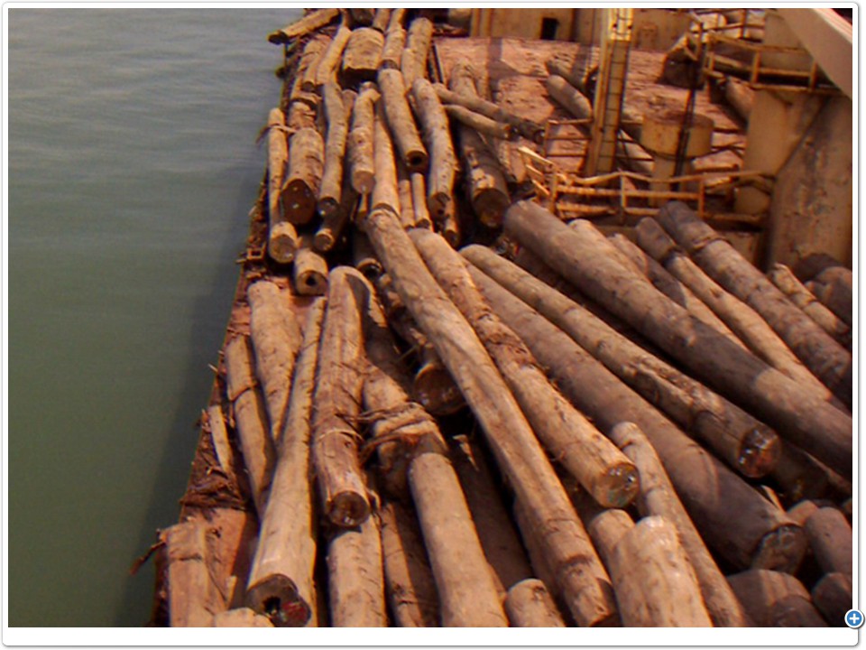 Cargo Logs